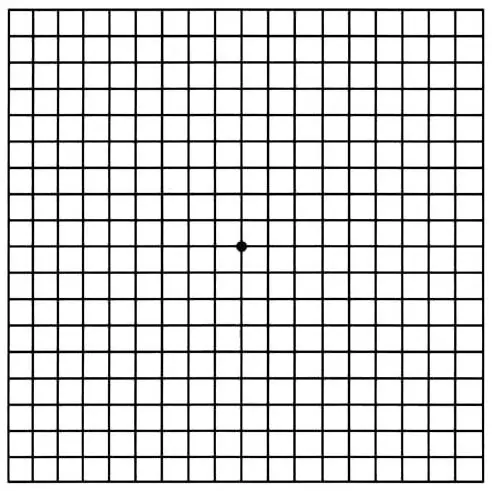Amsler grid JPG